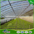 Eco-friendly new arrival high tunnel film greenhouse